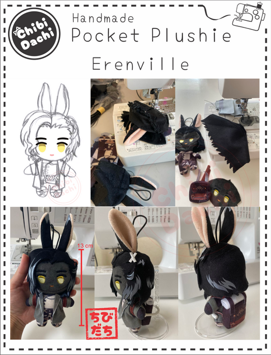 Pocket Erenville